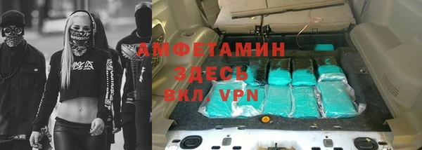 шишки Балабаново