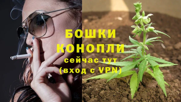 шишки Балабаново